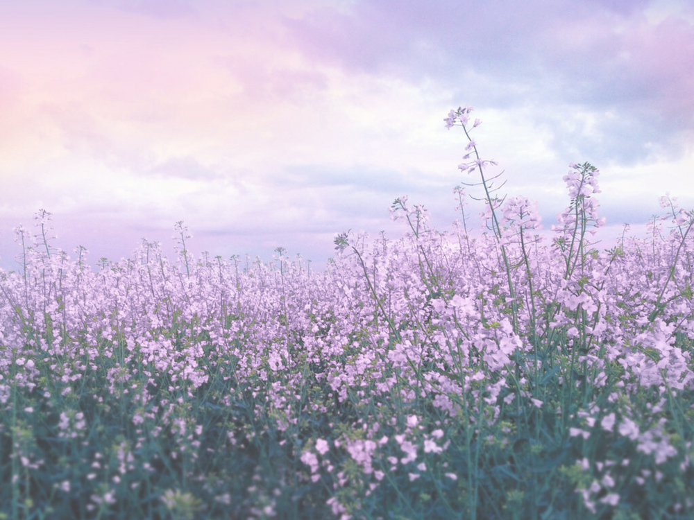 Securing Secrets Boutique LLC